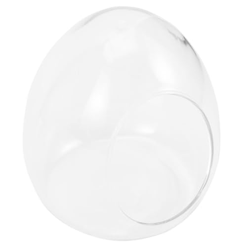 SEWOART Bouteille pour - avec Plantes Et Mousse Conteneur Décoratif Modèle pour Décoration Intérieure