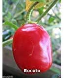 Rocoto Pepper también conocido como Manzano Rojo (30 Semillas) Puede vivir más de 15 años- Desde Perú!