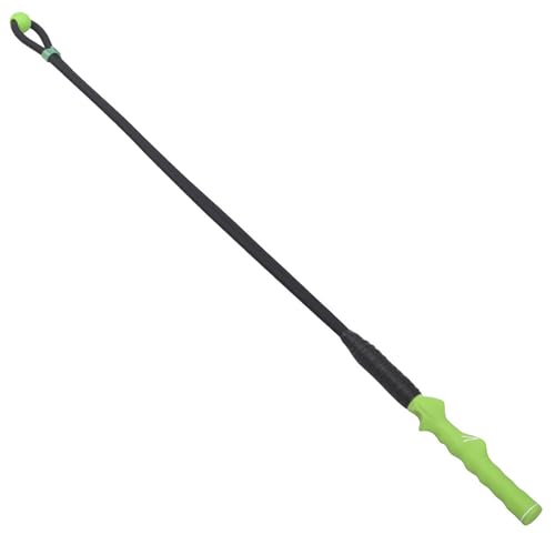 StNu nhObv pg[i[⏕[v pg[jOc[ Obvg[i[⏕ StXCO