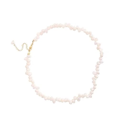 Zxfdsfdbnm VR^lbNX CM[p[ r[YWG[ ANZT[ p[eB[rWlXCxgp