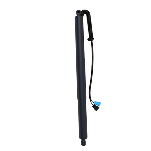 Coffre bloqué ? Vérin électrique pour BMW X5 F15 51247434041 solution hayon gauche