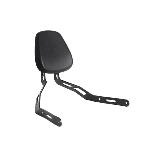 Selle en PU et rack pad de dossier passager haut de gamme pour moto 450CLC