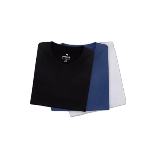 Kit Com 3 Camisetas Masculinas Básicas Slim Gola V Hering - Multicolorido M