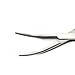 Rankin Kelly Forceps Curved 6 1/4