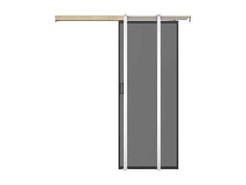 Vente-unique-Schiebetür mit Galandage-System - Aluminium & rauchfarbenes Sicherheitsglas - 205 cm x 63 cm - LINCI II