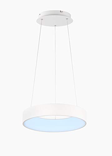 Preisvergleich Produktbild Wofi Pendelleuchte Cameron 1flg 45 cm