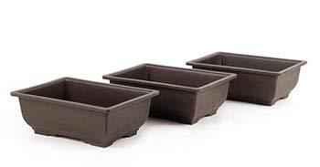 See full amazon price history chart for Green Paradise® Bonsai Rectangle Plastic Planter Pots 12 cm (L) x 4.5cm (H) (Dark Brown) Good Planters For Mame Bonsai Trees Succulents And Adeniums Suitable For Seeds Growing Pack of 5 pots Green Paradise® Bonsai Rectangle Plastic Planter Pots 12 cm (L) x 4.5cm (H) (Dark Brown) Good Planters For Mame Bonsai Trees Succulents And Adeniums Suitable For Seeds Growing Pack of 5 pots (B07J9WMCB7) Amazon Price History, Amazon Price Tracker