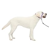 PetSafe Gentle Leader Headcollar No-Pull Dog Collar - Helps Improve Walks - Durable Nylon Construction - Padded Nose Loop - Adjustable Fit - Comfort Walking Halter - Large, Deep Purple