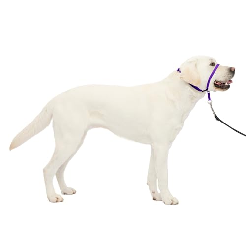 PetSafe Gentle Leader Headcollar No-Pull Dog Collar - Helps Improve Walks - Durable Nylon Construction - Padded Nose Loop - Adjustable Fit - Comfort Walking Halter - Large, Deep Purple