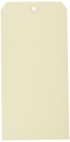 Ranger Dyan Reaveley's Dylusions Pkg-Media Paper #10 Journal Tags