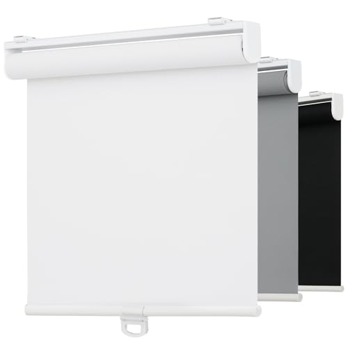 AYZOT Cordless 5% Openness View Roller Shades for Indoor Windows,Solar Screen Flame Retardant,Thermal Insulated UV Protection Fabric,Rolled Up Blinds with Spring System(Solar White,28" W x 72" H)