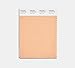 Pantone FHI Color Guide, Limited Edition Color of The Year 2024