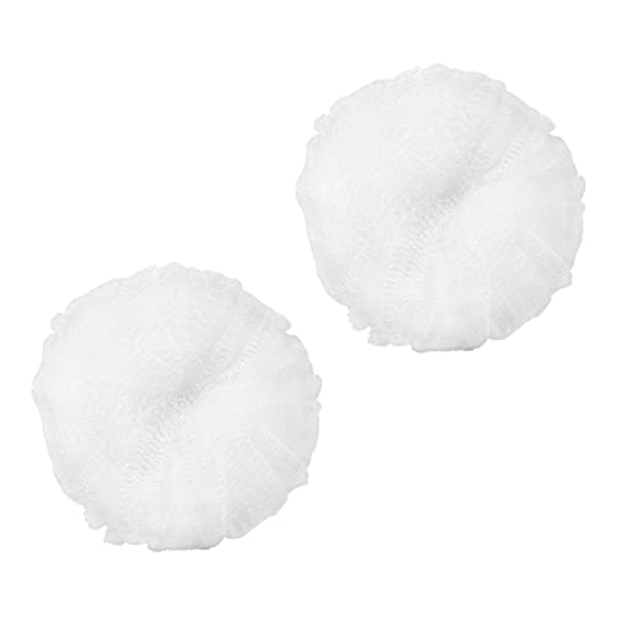 Silver-Infused Loofah Replacements, 2 Count