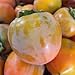 California Hachiya Persimmons Organic (5 lbs)