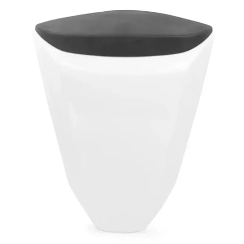 Capot de selle passager ZX10R pour supprimer la selle arrière