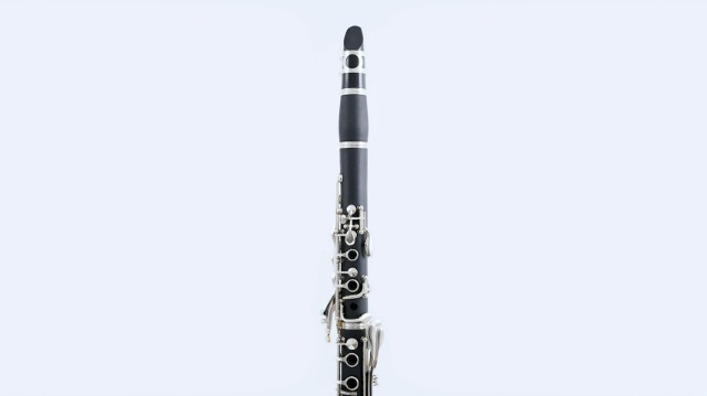 Amazon | Vangoa B フラット クラリネット 学生 Bb Clarinet 17