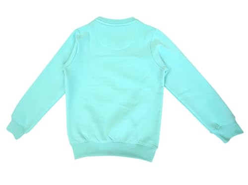 Image of Round Neck Fleece Sweat Shirt for Boy's