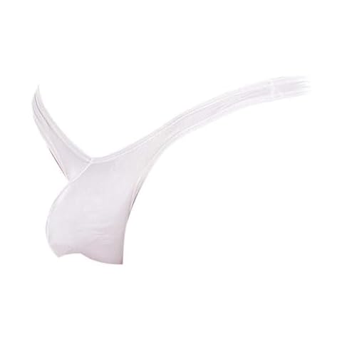 Daniel Alexander Men’s Thong Underwear and Protrude Pouch,V-Shaped Bikini Pouch for Men,Low Rise Waist String Bikini (US, Alpha, Medium, Regular, Regular, Sheer White) Cover