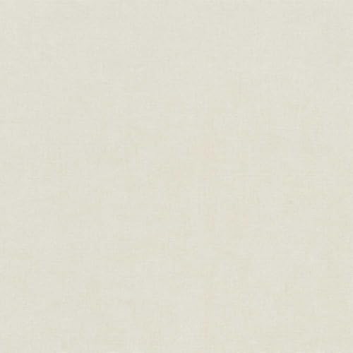 Papier peint intissé Erismann Aurora 10539-02 masquage défauts mur
