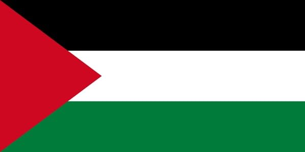 Gifting Souvenir for Learning and Memory Palestine Flag Fridge Magnet Sticker Set | Decorative Refrigerator Magnets | Stylish Kitchen Magnet Set | Fun & Quirky Fridge Decor 3x2 inch-image-13