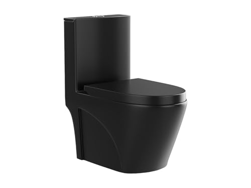 WC à poser noir mat évacuation horizontale en céramique NAGILAM