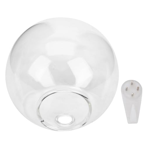 BESTonZON Jarrón Colgante de Vidrio Transparente para Plantas y Flores Macetero Decorativo Moderno Recipiente para Cultivo Hidropónico y Micro Paisaje Pared Adorno Elegante para Hogar y