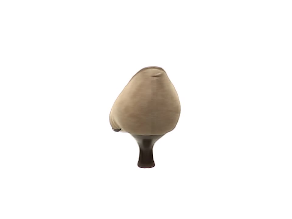 ✧美品【ワコール　サクセスウォーク】ポインテッドトゥパンプス　23.5 ベージュ ワコール／サクセスウォーク 5cmヒール｜ パンプス WIN005