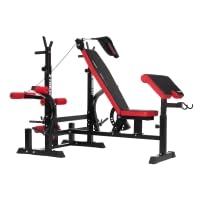 XTREXO BenchFit Max – Banco de entrenamiento multifuncional para el gimnasio en casa con barra de oración, prensa de piernas, elevación de espalda, estantes ajustables y soportes para pesas, máx. 170