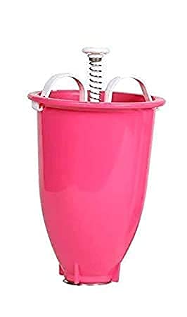 RADHIKA ENTERPRISES Arsh Hita Ointment (30 G)