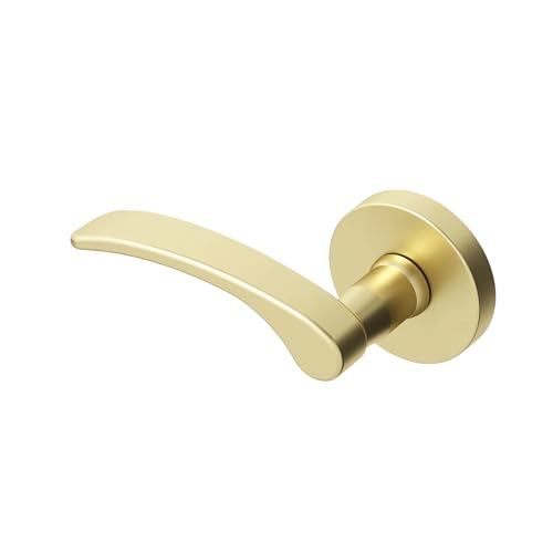 Okun Brook Dummy Door Handle, Brushed Champagne Gold Non-Turning Door Lever 1-Pack – Left-Handed Decorative Interior Handle for Closet, Pantry, Hallway & French Doors, Sleek Modern Design by Okun - Used condition - US$24.59