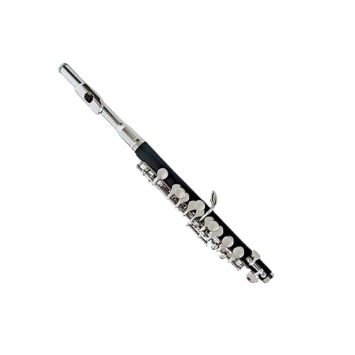 Deloitte DPC-110 Piccolo