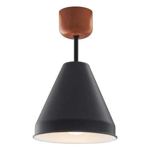 ڂƋ V[OCg k X`[ 1 LED VƖ Ɩ E26 _CjOƖ Hp Lb`JE^[ gC  ubN