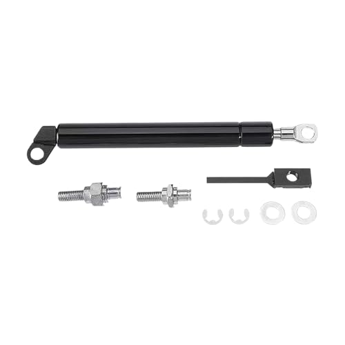 Amortisseurs de hayon pour pick-up D40 avec supports de levage fluides