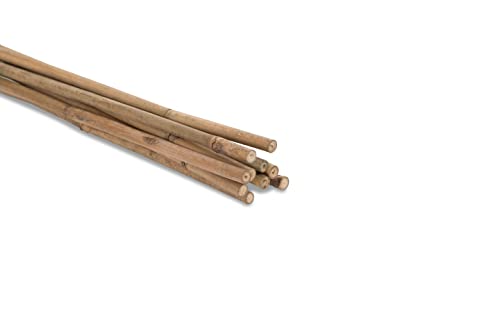 Novatool 10 Stück Tonkinstäbe 105 cm I ø 6-8 mm I Braun I Tonkinstab Sichtschutz Rankhilfe Bambus Bambusstäbe Bambusstange Bambusstöcke Pflanzenstütze Pflanzstab