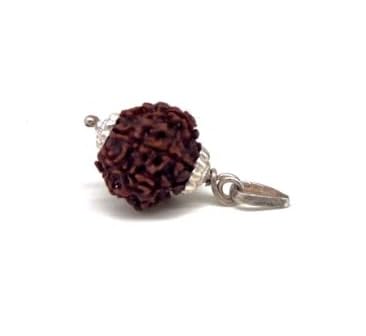 1 Mukhi Round Rudraksha Original Certified एक मुखी रुद्राक्ष ओरिजनल Brown Ek Mukhi Rudraksha Nepali Genuine Gol Dana Nepal Rudraksha For Puja-image-24