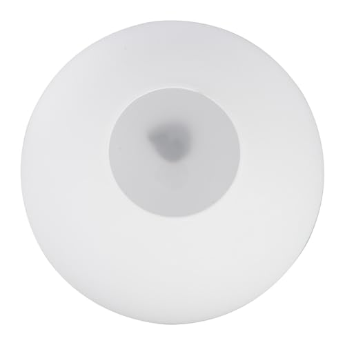 Paralume a sfera: può essere utilizzato non solo come accessorio di illuminazione, ma anche come decorazione domestica, copertura a sfera per lampada