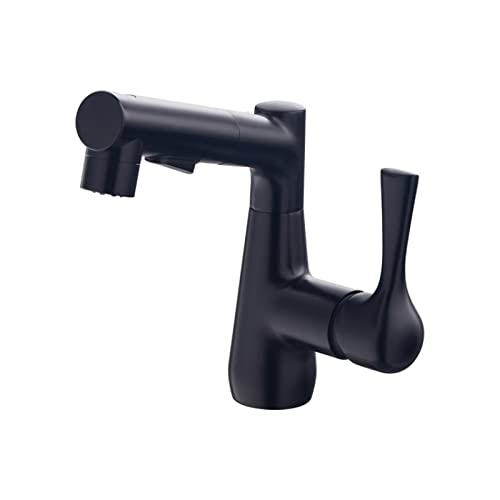 Robinet de salle de bain noir pour évier rotatif et lavabo de famille