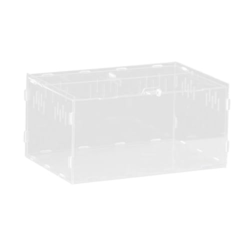 Leefasy Reptile Feeding Box Reptile Terrarium Acrylic Professional Spacious Container Turtles Box for Young Bearded Dragon, 30x20x15cm