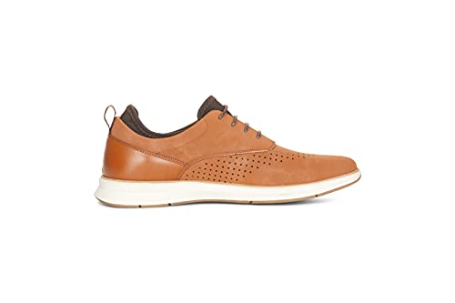Van Heusen Men's Oxford, Cogna, 11 #TOP1