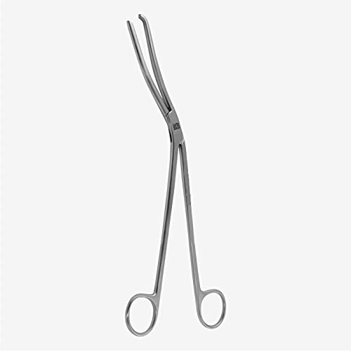 Reviti Cheatle Forceps 10 inch Surgical Instrument Stainless Steel Medical Forcep (B095X8TN1K) Amazon Price History, Amazon Price Tracker