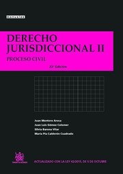 Derecho Jurisdiccional II Proceso Civil 23ª Edición (Manuales de Derecho Procesal)