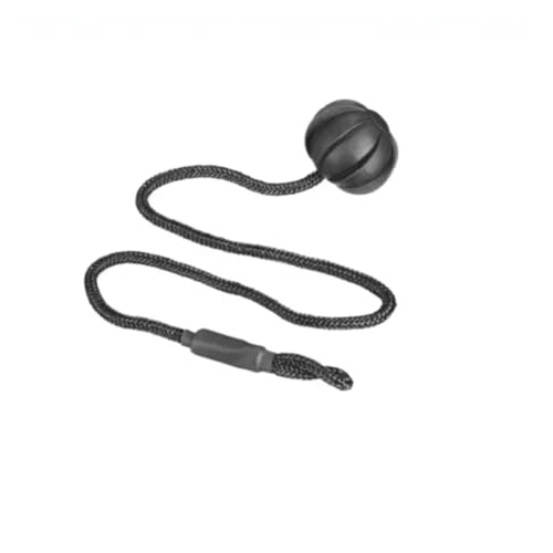Cuerda maletero coche para Golf 6 GTI correa estantes paquetes R20 par