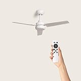 TECHBREY B0D5QR3YFP lato 2