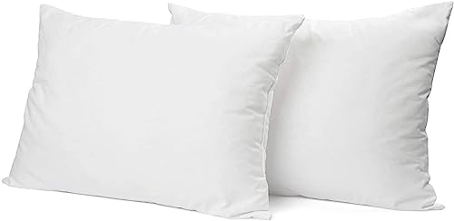 Set 2 Almohadas de Microfibra Tamaño Twin Algodón