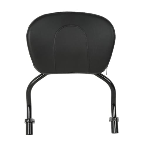 Coussin Amovible pour Moto Dossier Passager Arrière Freewheeler FLRT 2015 2016 2019 2022