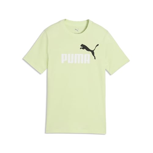 Puma Boys' ESS 2 Colour No.1 Logo Tee B T-Shirts (Pack of 1), Apple Spritz Green, 164