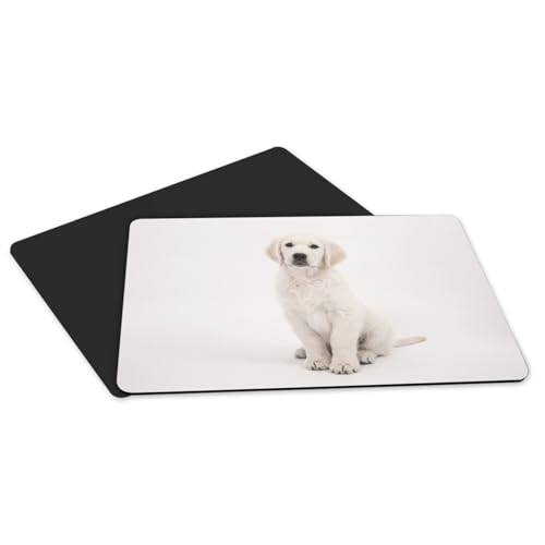 Sets de table antidérapants chiot labrador grand format contre les taches - 5