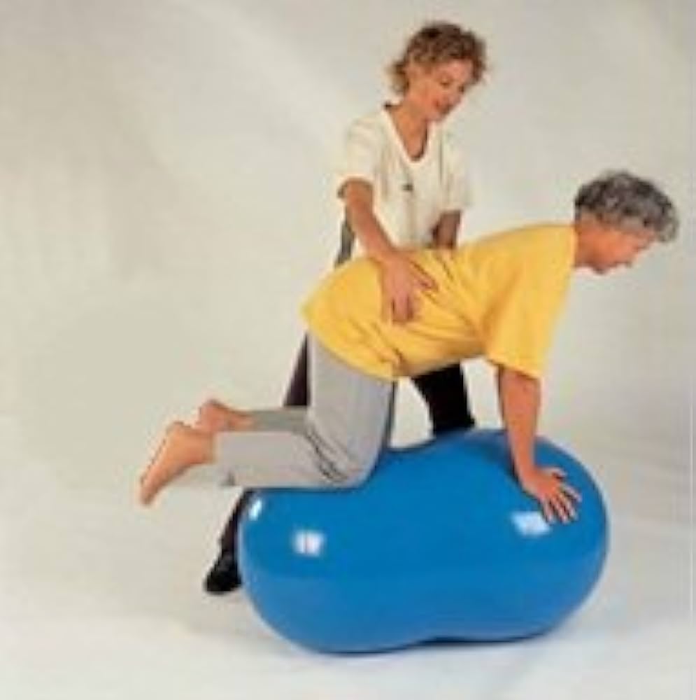 Amazon | GYMNIC(ギムニク) フィジオロール 70 青 【Wアクション