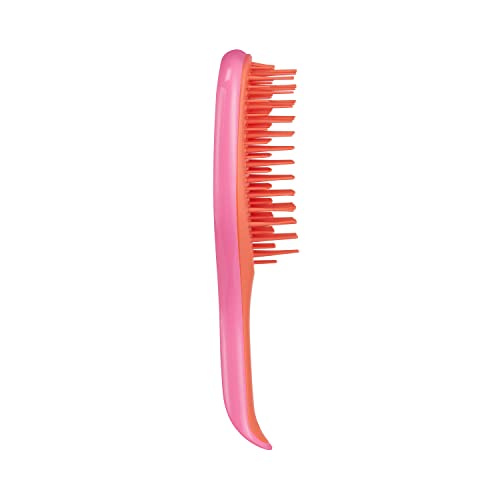 Tangle Teezer | The Mini Wet Detangler Hairbrush For Wet & Dry Hair | Perfect For Kids & Traveling | Eliminates Knots & Reduces Breakage | Lollipop #TOP1