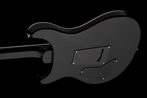 Prs 107876::VI: Guitars 6 String Se Custom 24 Quilt Electric Guitar thumb #8